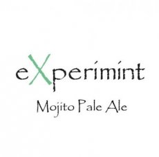 eXperimint Mojito Pale Ale 33cl